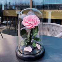 Hochwertiges konserviertes Rosen glaskuppel produkt für Weihnachts geschenke zum Valentinstag des kleinen Prinzen-langlebig