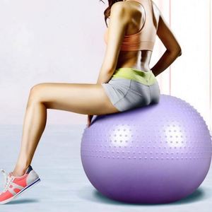 1400G Balance Disco Cojín Donuts Perro Equilibrio Plataforma de entrenamiento Uniforme sin deformación Fitness Centro de rehabilitación de mascotas - Product Image 1