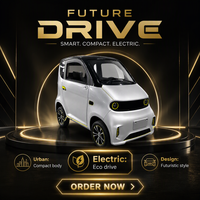 Berline électrique haut de gamme homologuée WVTA, vitesse maximale 25 km/h, 100 ch, conduite à droite pour adultes, porte-bagages métallique simple sur le toit