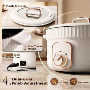 Olla Eléctrica Doméstica Antiadherente, Mini Arrocera Portátil con Tapa de Vidrio Templado y Cuerpo de Hierro Fundido - Product Image 2