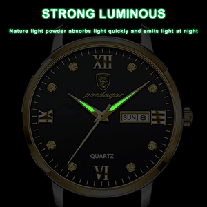 POEDAGAR Montre Homme de Luxe Décontractée, Marque Prestigieuse, Affaires, Date, Jour, Étanche, Lumineuse, Bracelet Cuir, Montre Habillée pour Homme, Relogio Masculino - Product Image 5
