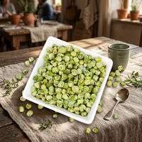 Grande Quantité de Pois Verts Déshydratés Prix de Gros Usine pour Grossistes Étrangers