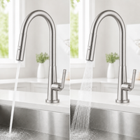 Robinet de cuisine en nickel brossé, laiton massif, extractible, double jet, rotation à 360°, arc haute, mitigeur d'évier, vente en gros OEM