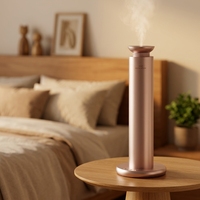 Diffuseur d'arômes en métal de luxe, contrôlé par application, alimenté par USB, capacité de 100 ml, pulvérisation automatique, parfum longue durée, 1 an