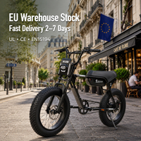 Vélo Électrique ZUMI V8 20x4 à Pneus Larges, Batterie Lithium 48V 13Ah, Acier, Personnalisation de Marque, Fabricant OEM ODM – Stock US, UE, Brésil