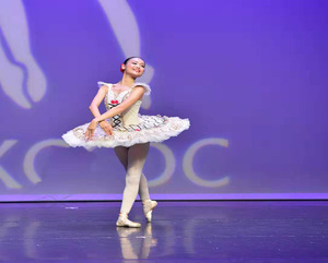 Venta caliente Nuevos trajes <span class=keywords><strong>de</strong></span> baile Ballet Tutu Velvet Trajes <span class=keywords><strong>de</strong></span> Ballet para adultos. Nuevo -- 29 - Product Image 3