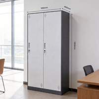 Casier métallique robuste à 2 portes pour hôpital, fabricant chinois, casier en acier démontable pour employés de bureau, casier en acier robuste