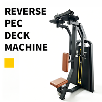 Machine Commerciale de Musculation pour Dorsal et Deltéens Arrière - Acier Inoxydable, Conception Réglable, Haute Résistance, Vente Directe Usine, Certifiée CE
