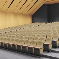 Chaise d'auditorium pliable populaire avec pieds en acier pour hôtel, école, salle et mobilier de salle de conférence