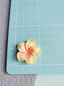 Cabujones <span class=keywords><strong>de</strong></span> resina <span class=keywords><strong>de</strong></span> flor <span class=keywords><strong>de</strong></span> plumeria hawaiana con base plana para adornos DIY, para pinzas <span class=keywords><strong>de</strong></span> pelo, fundas <span class=keywords><strong>de</strong></span> teléfono y álbumes <span class=keywords><strong>de</strong></span> recortes - Product Image 5