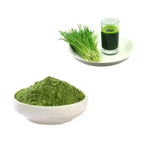 Premium Grade Pure Organic Green Barley Grass Extract Powder High Quality