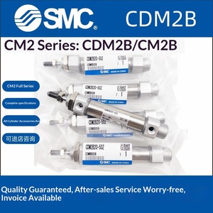   Serie di Mini Cilindri CDM2B20/25/32/40-100/200/250/275/400/350AZ CM2B - Product Image 4