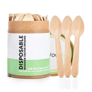 Personnalisé compostable 110Mm longueur écologique mini dégustation jetable bois cuillère pointue cuillère à crème glacée