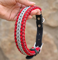 Nouveau Collier pour Chien en Paracorde Tressé et Ajustable, Taille Personnalisée, Tissage Renforcé, pour Chiens de Petites, Moyennes et Grandes Tailles – Collection Festival du Commerce