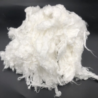 Fibra Discontinua de Lyocell Biodegradable
