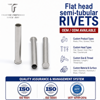 TianFang Rivets Semi-Tubulaires à Tête Plate OEM pour Machine Industrielle, Certifié IATF 16949