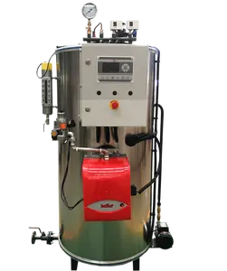 Fully Automatic 200kg 300kg vertical liquid gas steam generator Boiler Machine