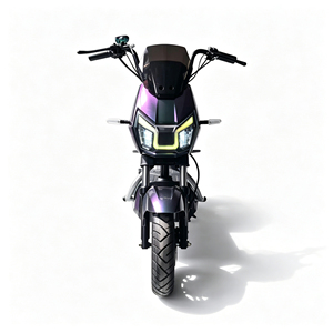 Bicicletta Elettrica con Telaio in Acciaio, Capacità di Carico 150KG, 3 Velocità, Batteria 60V, Motore Brushless 500W con Display LED - Product Image 5