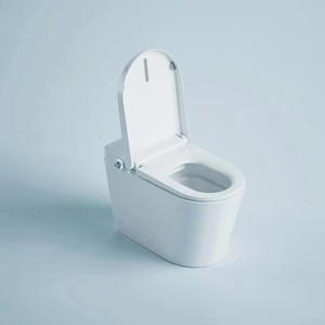 2025 Automatic Foot-Sensing Opening and Closing Flushing Smart Toilet <strong>Bidet</strong> Toilet Bathroom Toilet - Product Image 6