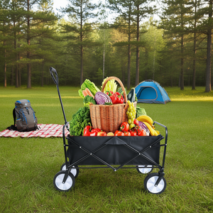 Chariot pliable industriel et de jardin DB, en métal noir, à quatre roues, pour le camping, la randonnée et le stockage - Product Image 2