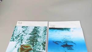 Papel Fotográfico Brillante de Alta Calidad, Resistente al Agua, Secado Instantáneo, Blanco Puro, A4, <span class=keywords><strong>180</strong></span> g/m², 5760 dpi, de la Fábrica JINGSHENG - Product Image 2