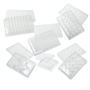 Plat Kultur Sel dan Jaringan 6well, 24well, 48well, 96well, Plat Kultur Sel yang Telah Diolah TC - Product Image 6