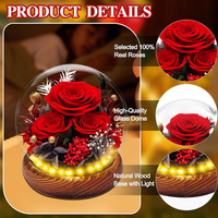 Rote Konservierte Rose unter Glaskuppel Ewige Blume Romantische Heimdekoration Geschenk für Frauen Hochzeitsdekoration Hochzeitsblumen