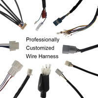 Harnais de câblage électronique personnalisés E00124, isolation PVC, conducteur en cuivre étamé, 12V, IP66, assemblage de câbles OEM/ODM, marque BeiXing