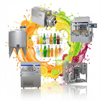 Industriële tropische fruit sap productielijn mango ananas fruitsap verwerkingsinstallatie ISO gecertificeerd betrouwbare prestaties