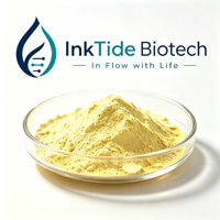 Berberine HCl 97% HPLC Extrait de Coptis Chinensis CAS 633-65-8 Matière première végétale en vrac Échantillon gratuit Ink Tide Biotech