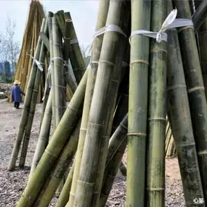Custom Size 1.5 Width U Shaped Bamboo Poles Construction Treated