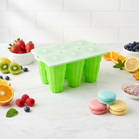 Moule à glace en silicone à 6 cavités en forme de coquille pour la maison, pour la préparation de bâtonnets glacés, de glaces et de sorbets faits maison
