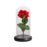 Lampe Chaude à Fleur Éternelle avec Couvercle en Verre, Rose Artificielle Lumineuse, Cadeau de Saint-Valentin et de Noël, Vente en Gros Transfrontalière