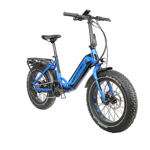 Factory Supply electric Bicycle strong power 500w/750W 48v/10.4Ah/14Ah li-ion battery 7 speed fat tire folding electric bike