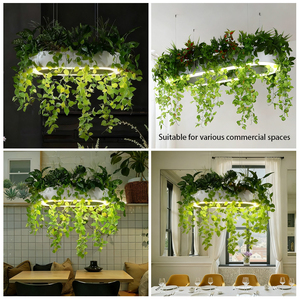 Lustre suspendu au plafond ovale à LED réglable en <span class=keywords><strong>hauteur</strong></span> pour hôpital, décoration <span class=keywords><strong>de</strong></span> plantes artificielles, éclairage moderne unique et créatif - Product Image 2