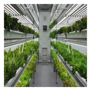 Contenedor Agrícola Multiusos de Acero de 40HQ para <span class=keywords><strong>Alquiler</strong></span>, Sistema Hidropónico Inteligente para Cultivo de Vegetales de Hoja en Fábrica de Plantas - Product Image 1