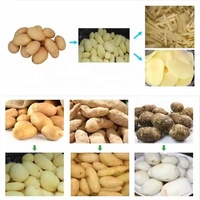 Automatische wortelschiller, aardappelchipsmachine, zoete aardappelreinigings- en snijmachine voor het snijden in plakjes, reepjes en stukjes.