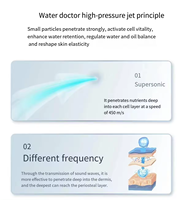 Nouveau dispositif de rajeunissement de la peau haute puissance Portable injection de nutriments soins de la peau Jet Peel Spa équipement