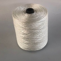 Ruban élastique PP à simple ou Double noyau, 1 paire, vente en gros, élastique, souple, rond, blanc, 2mm, pour la couture, l'artisanat à la main