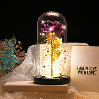 Rose en or 24 carats de haute qualité, fleur romantique en plastique dans un dôme en verre avec lumière LED, boîte cadeau pour la Saint-Valentin, la fête des mères