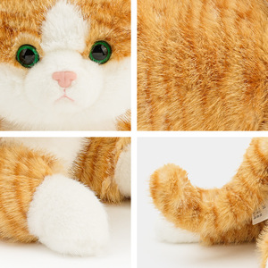 Hug Cat Peluche Ragdoll Siamés Birman British Shorthair Cat American Exotic Shorthair Persa Muñeco de peluche para niños - Product Image 4