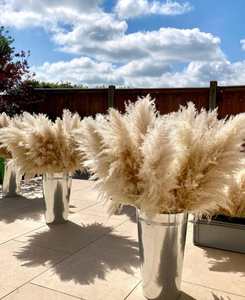 <span class=keywords><strong>PAMPAS</strong></span> GRASS 2-4ft Grande Vente Boho Home Decor Décorations Florales De Mariage Arrangement De Fleurs <span class=keywords><strong>Pampas</strong></span> Bouquet Bohème - Product Image 1