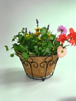 Panier à plantes en ciment noir, design sculpté, doublure en fibre de coco, style américain, pot de fleurs décoratif sculpté à la main pour la maison et le jardin