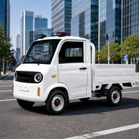 Camionnette électrique à 4 roues, 2 portes, 2 places, mini camionnette électrique, véhicule à énergie nouvelle, camion de fret, vente directe d'usine
