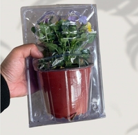 Vente en gros Boîte d'emballage personnalisé en PVC blister à bulles pour les semis de fleurs Boîte de transport en plastique en pot