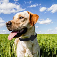 Collier pour animaux de compagnie en PU avec logo personnalisé, compatible avec AirTag, anti-perte, suivi GPS, collier ajustable pour chats et chiens, toutes saisons