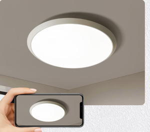 NEU Wohnzimmer Oberfläche montiert einfache Sri Lanka LED Decken leuchte billige Decken leuchte LED - Product Image 3