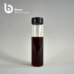 2023 Coming Trending Product Private Label Coffee Essential Oil Energy Supplements Coffee Essential Oil Supplier