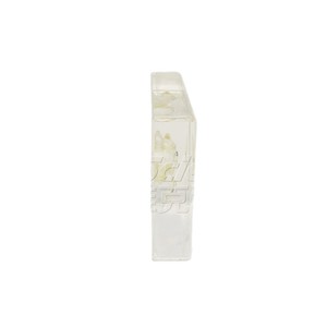 Especímenes de esqueletos de aves, modelos de enseñanza de biología para escuelas primarias y secundarias, enseñanza de anatomía. - Product Image 5