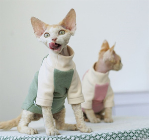 Qiqu-mono cálido de otoño e invierno para gatos, ropa para mascotas, sin pelo, <span class=keywords><strong>Sphinx</strong></span> - Product Image 5
